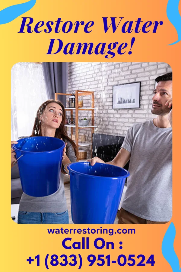 water restoration Global Water Removal Professionals Cream Ridge